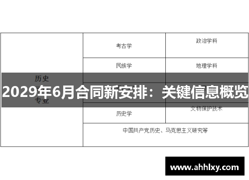 2029年6月合同新安排：关键信息概览
